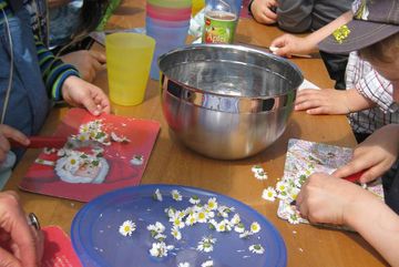 Kinder bereiten mit gesammelten Kräutern einen Quark zu.